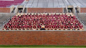 Image post by @elonfb on Instagram