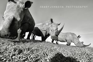 Image post by @rj51photos on Instagram