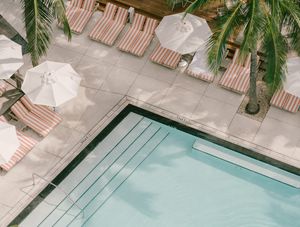 Image post by @wsouthbeach on Instagram