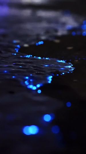 Video post by @bbcearth on Instagram