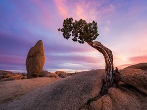 Image post by @nationalparkscollective on Instagram