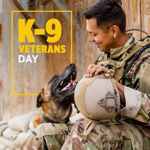 Image post by @USAA on Twitter