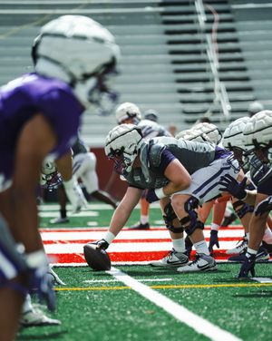 Image post by @paladinfootball on Instagram