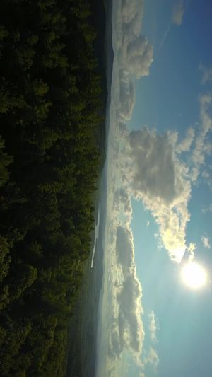 Video post by @tedtmedia on TikTok