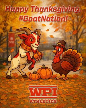 Image post by @wpiathletics on Instagram