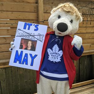 Image post by @CarltonTheBear on Twitter