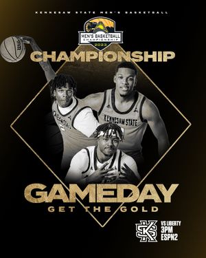 Image post by @ksuowlsmbb on Instagram