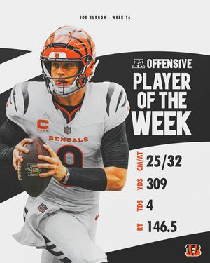 Image post by @bengals on Instagram