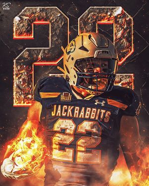 Image post by @kayleyshadedesign on Instagram