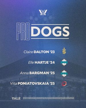 Image post by @yalewhockey on Instagram