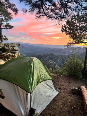 Image post by @neighborlacey on Instagram