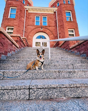 Image post by @nauflagstaff on Instagram