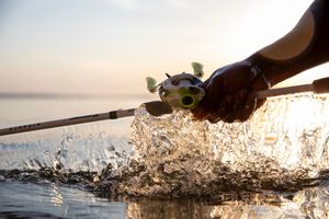 Image post by @profishiency on Instagram