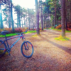 Image post by @vitusbikes on Instagram