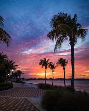 Image post by @fgcu on Instagram