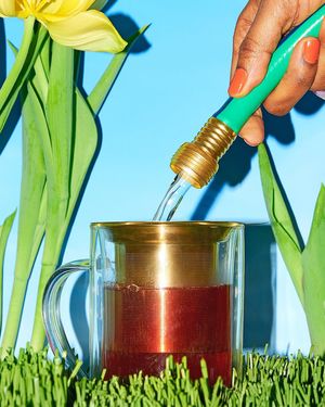 Image post by @davidstea on Instagram