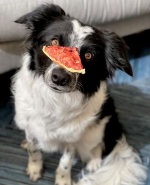 Image post by @rindsnacks on Instagram