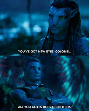 Image post by @avatar on Instagram