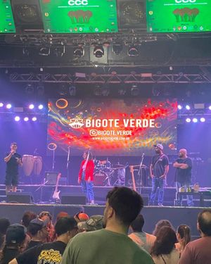 Image post by @bigote.verde on Instagram