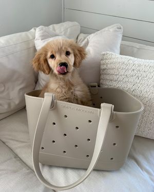 Image post by @shopsimplemodern on Instagram