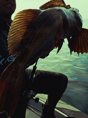 Image post by @oliverngy on Instagram