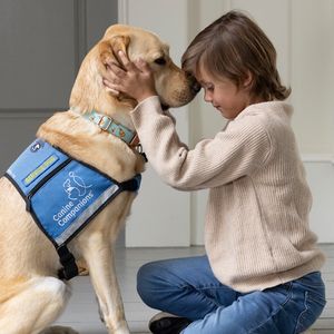 Image post by @canineorg on Instagram