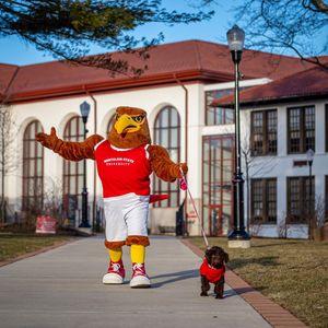 Image post by @rockyredhawk on Instagram