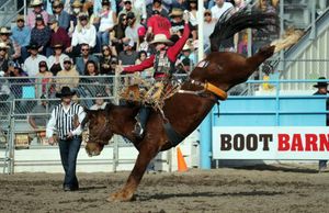 Image post by @larimercountyfair on Instagram