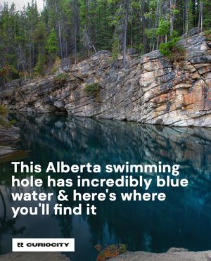 Image post by @curiocitycalgary on Instagram