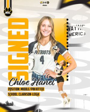 Image post by @WSCWildcatVB on Twitter
