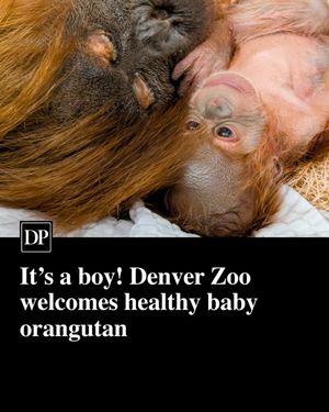 Image post by @denverpost on Instagram
