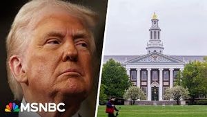 Video post by @msnbc on YouTube