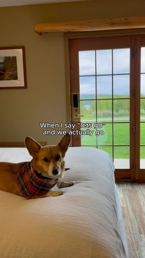 Video post by @grandelylodge on Facebook