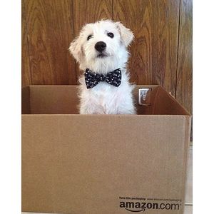 Image post by @amazon on Instagram