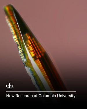 Image post by @columbia on Instagram