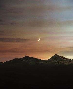 Image post by @wisdm on Instagram