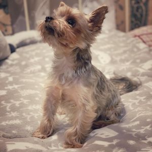 Image post by @martin_b1983 on Instagram