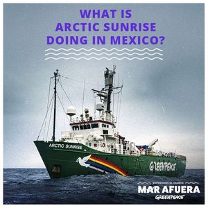 Image post by @greenpeaceusa on Instagram