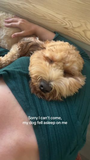 Video post by @tedflixnchill on TikTok