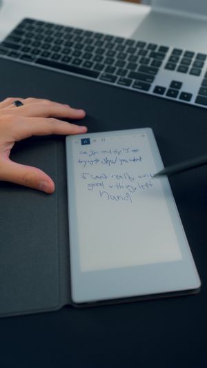 Video post by @.mattykay on TikTok