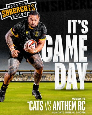 Image post by @houstonsabercats on Instagram