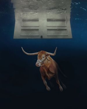 Image post by @utaustintx on Instagram