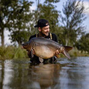 Image post by @brothercarp on Instagram