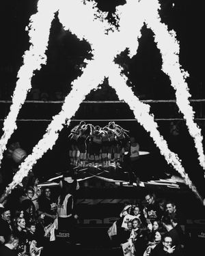 Image post by @imnotjax on Instagram