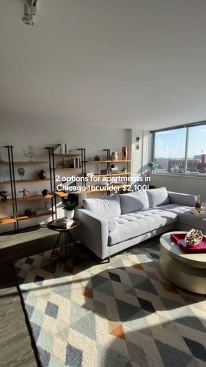 Video post by @smartcitychicago on TikTok