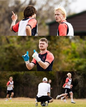 Image post by @sarasotaparadise on Instagram