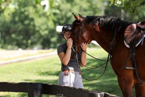 Image post by @kyhorseshows on Instagram