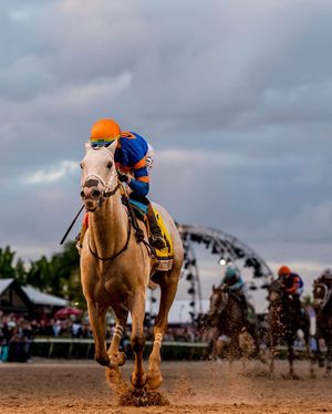 Image post by @pegasusworldcup on Instagram