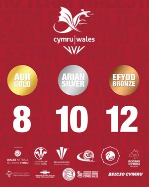 Image post by @team_wales on Instagram