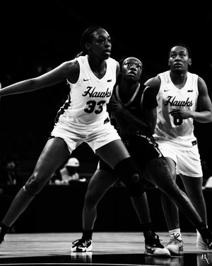 Image post by @delawarestatewbb on Instagram